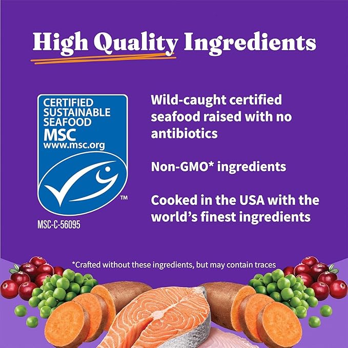 Halo Holistic Kitten Food, Wild Caught Salmon & Whitefish Recipe, Grain Free Dry Cat Food, Complete Digestive Health, 10 lb Bag