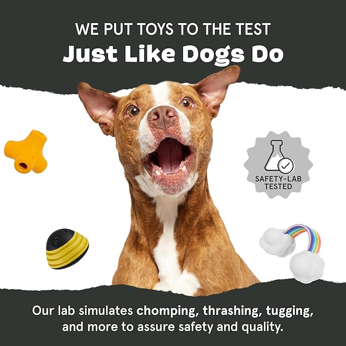 Barkbox Fowl Play Treat Dispensing Hard Core Plush Toy for Aggressive Chewers - Large