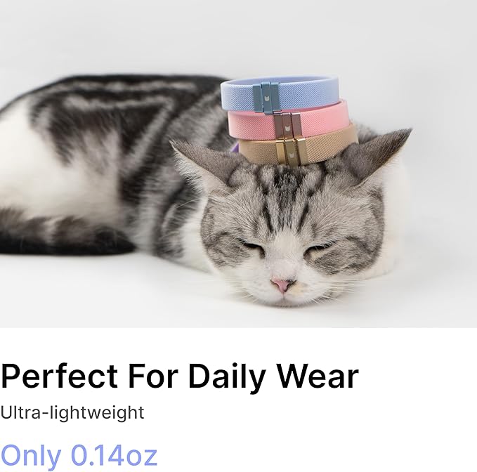 Safety Cat Collar - U.S. IDA Gold Awarding Design, Stretch Elastic Quick Release, Non Breakaway - Light Weight for Kitten, Neck Fit 5.9'-11.8' for All Small Large Cat,S(Sierra Blue)