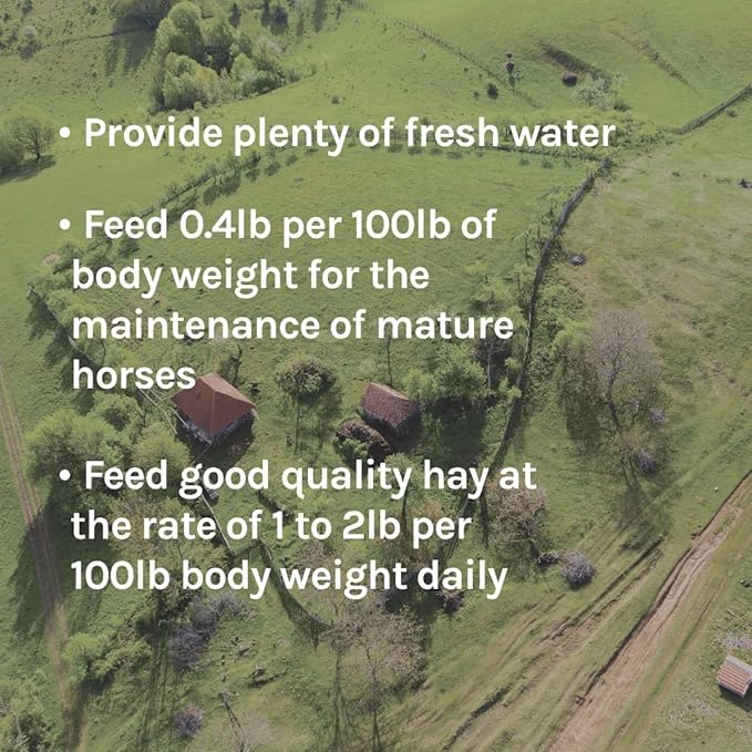 New Country Organics | Performance Horse Feed for Horses in Light to Moderate Work | Corn-Free and Soy-Free | 12% Protein | Certified Organic and Non-GMO | Horse Feeder with Grains & Oats 40 lbs