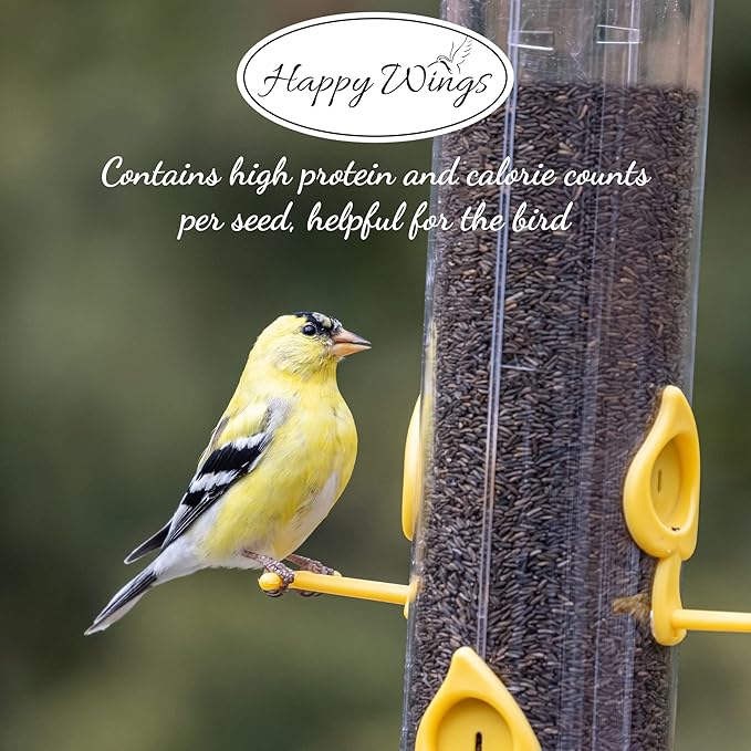 Nyjer/Thistle Seeds Wild Bird Food - 5 Pounds I No Grow Seed I Bird Seed for Wild Birds