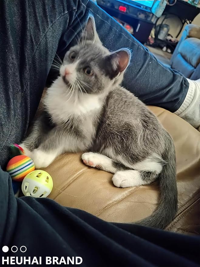 10-Pack Cat Toy Balls with Bell for All Cats, Playtime Paradise (1.5'' - 2.3'', Cat Toys Mega Set)