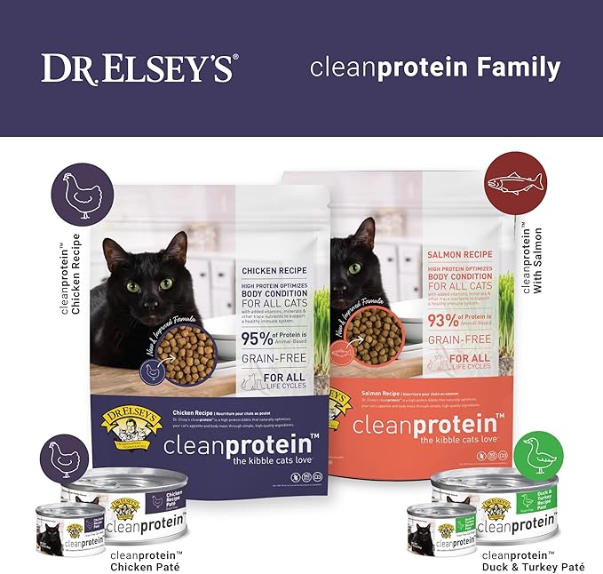 Dr. Elsey's Clean Protein Chicken Home Style Recipe All-Meat Pouch (Pack of 12)