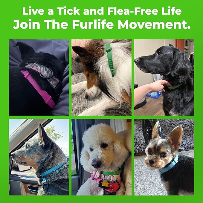 FurLife Flea and Tick Collar for Dogs – Waterproof Grey Dog Collar, Pet Supplies for Tick and Flea Prevention for Dogs, Safe for All Breeds