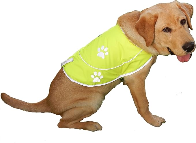 Dog Reflective Vest - Comfortable Jacket Safety Hunting, High Visibility for Dogs with Elastic Straps and Clasp Closure- Orange, Large