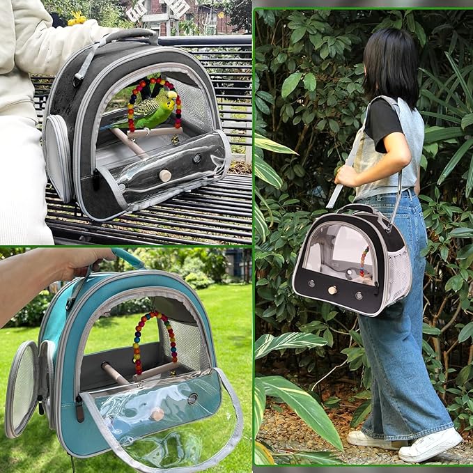 Portable Parrot Travel Cage Carrier with Small Swing Toy&Cage Colorful Toys Set Small Bird Parakeet Bag with Standing Perch Bird Carry Transport Bag (Green, Carreir/Swing)