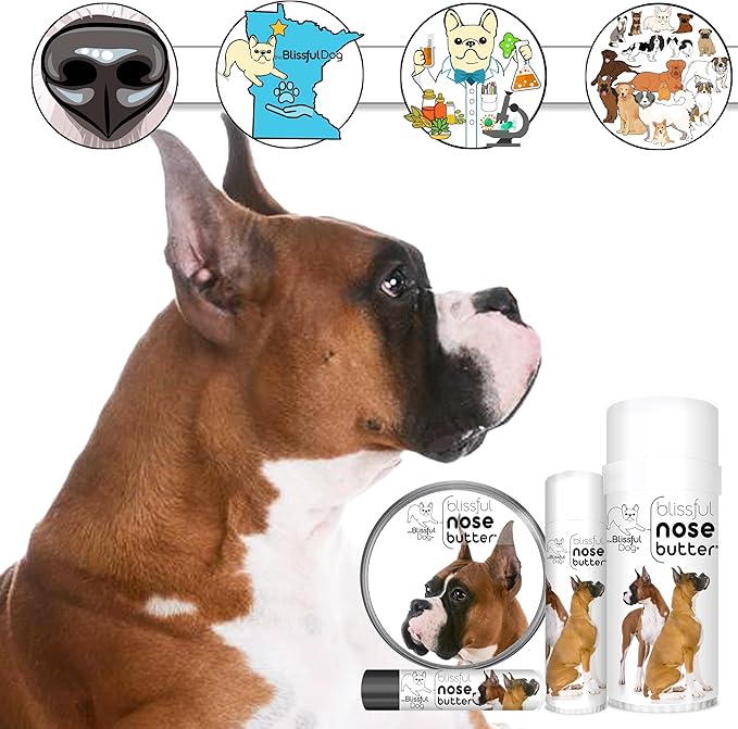 The Blissful Dog Show Boxer Nose Butter for Dry, Cracked Skin, Lick-Safe Dog Nose Balm with Moisturizing Shea Butter, Almond, Olive, and Essential Oils, Pet Supplies, Uncented, 8 oz.