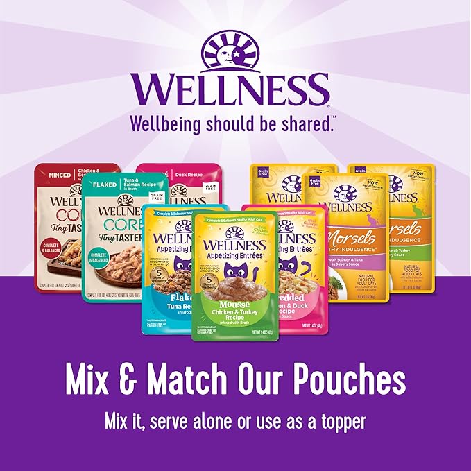 Wellness CORE Tiny Tasters Pate Adult Wet Cat Food, Natural, Protein-Rich, Grain Free, 1.75-Ounce Pouch, 12 Pack, (Duck)