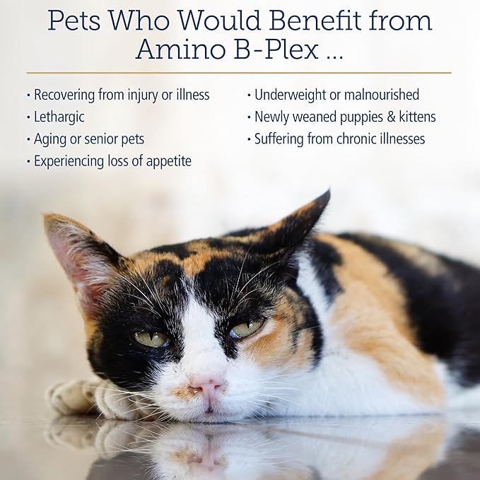 Rx Vitamins Amino B Plex Cat & Dog Supplement - Vitamin B Complex Liquid Plus Amino Acids for Dogs & Cats - Appetite Booster and Weight Gainer Cat & Dog Vitamins - 4 oz