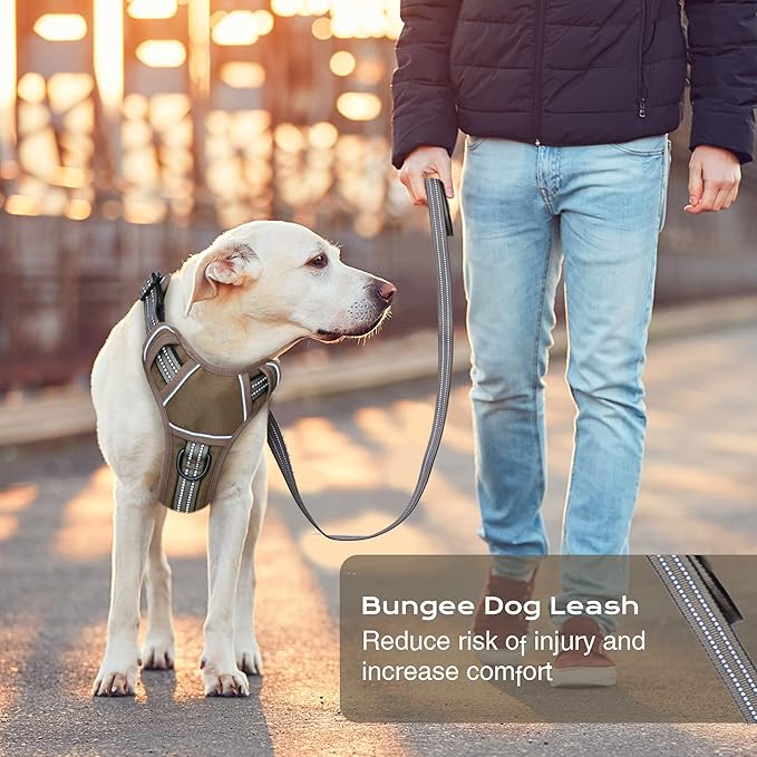 No Pull Dog Harness for Medium Dogs, Adjustable No Choke Pet Vest with Dog Leash Fit Smart Reflective Pet Walking Harness for Training Easy Control Soft Handle Brown M