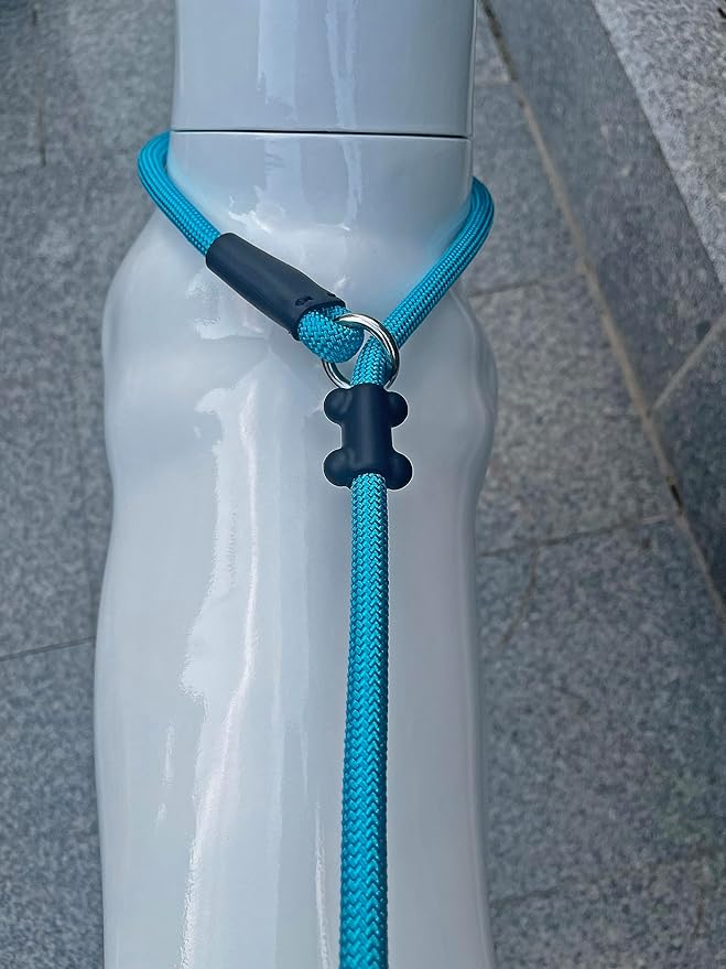 Slip Lead Dog Leash，Strong Nylon Rope Leash and Padded Handle,No Pull Outdoor Walking Training Lead for Small Medium Large Dogs(Blue,1/2"×4ft)