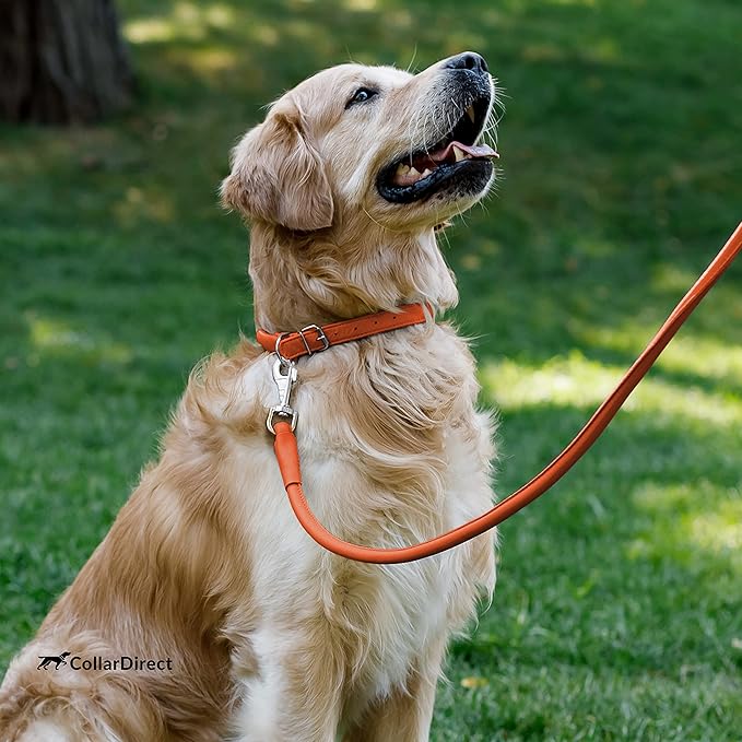 CollarDirect Rolled Leather Dog Collar, Soft Padded Round Puppy Collar, Handmade Genuine Leather Collar Dog Small Large Cat Collars 13 Colors (18-22 Inch, Orange Textured)