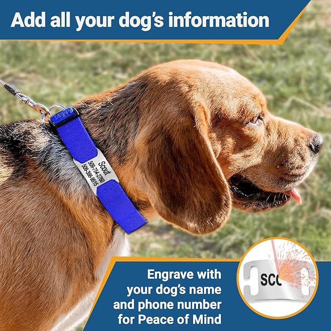 GoTags Personalized Dog Collar with Nameplate, Adjustable Dog Collar with Custom Engraved Slide On Pet ID Tag in Stainless Steel, Silent, No Noise Dog Tag for Large Medium and Small (Blue, Small)