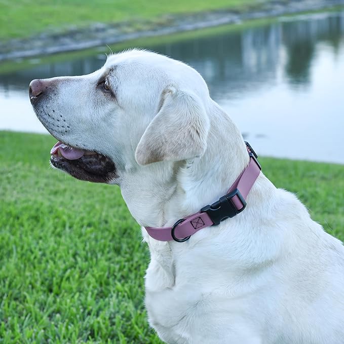 Dogline Biothane Waterproof Dog Collar with Quick Release Buckle Strong Coated Nylon Webbing with Odor- Proof for Easy Care Easy to Clean Fits Small Medium Large Dogs, Amethyst Purple 1" W 15-23" L