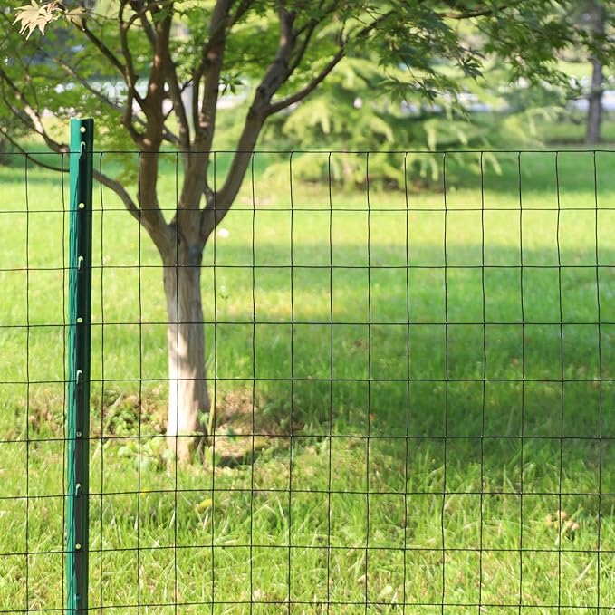 Black PVC Coated Welded Wire Fence 36 Inch x 50 Foot, 2 Inch x 3 Inch 16GA, Garden Border Fencing Roll Vinyl Coating Metal Wire Mesh for Yard Vegetable Plant Protection Poultry Netting