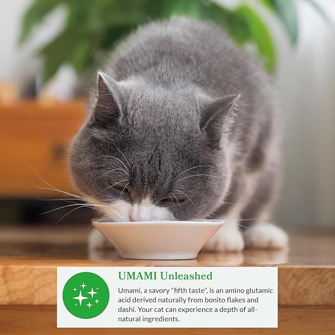 INABA Dashi Delights for Cats, 2.5 Ounce Cup, 6 Cups Total, Chicken Recipe