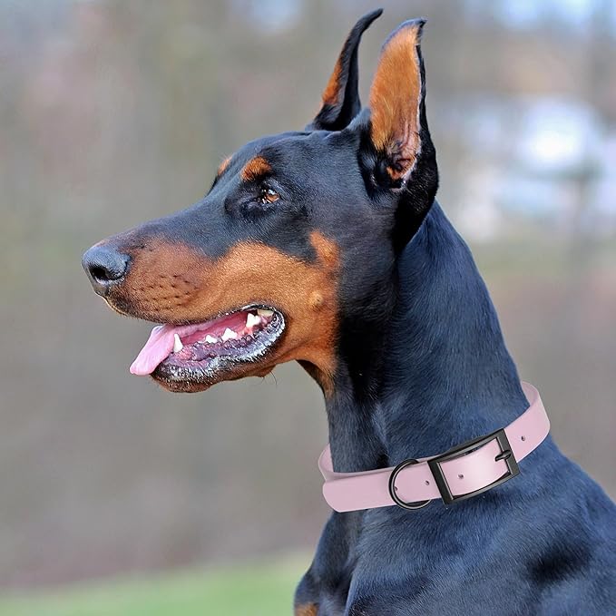 Dogline Biothane Waterproof Dog Collar Strong Coated Nylon Webbing with Black Hardware Odor- Proof for Easy Care Easy to Clean High Performance Fits Small Medium or Large Dogs, Pastel Purple