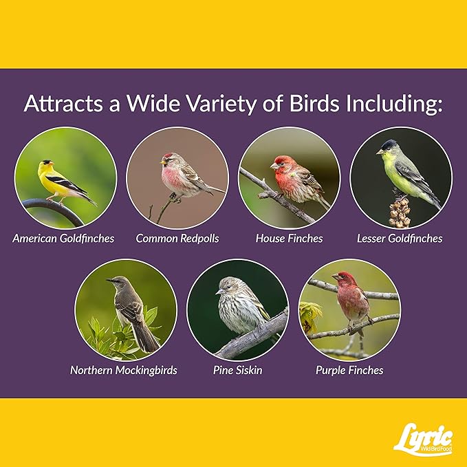 Lyric Fine Tunes No Waste Bird Seed 5 lb. Bag and Lyric Finch Small Songbird Wild Bird Food 5 lb. Bag for Outdoor Bird Feeders