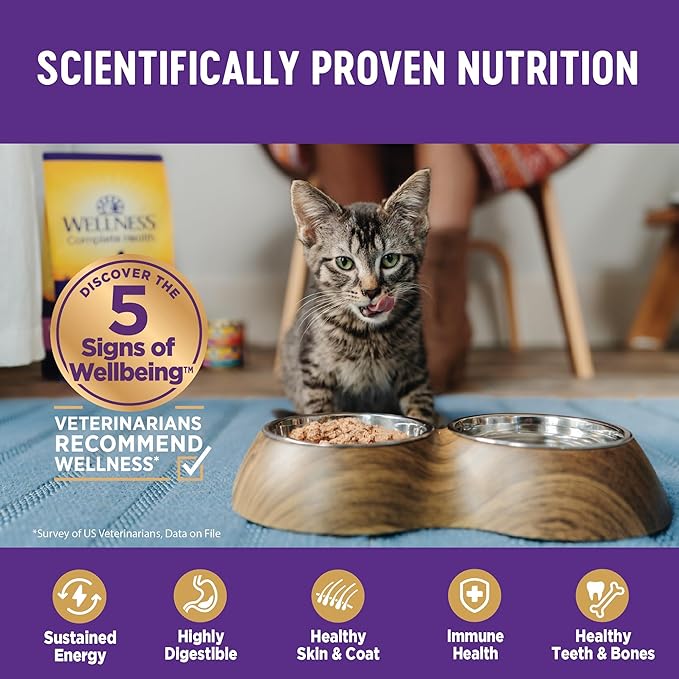 Wellness Complete Health Pate Adult Wet Cat Food, Natural, Protein-Rich, Grain-Free, 3 Ounce, 12 Pack, (Seafood Variety Pack)