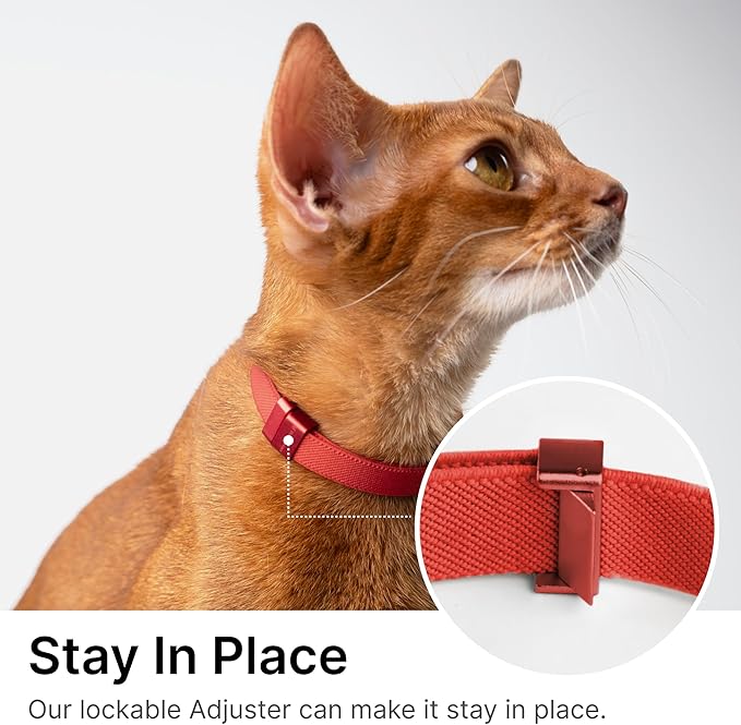 Safety Cat Collar Pro - U.S. IDA Gold Awarding Design, Elastic Quick Release Cat Collar with Buckle Non Breakaway - Lightweight for Kitten All Small Large Cats (Lime Green, S 5.9-11.8")