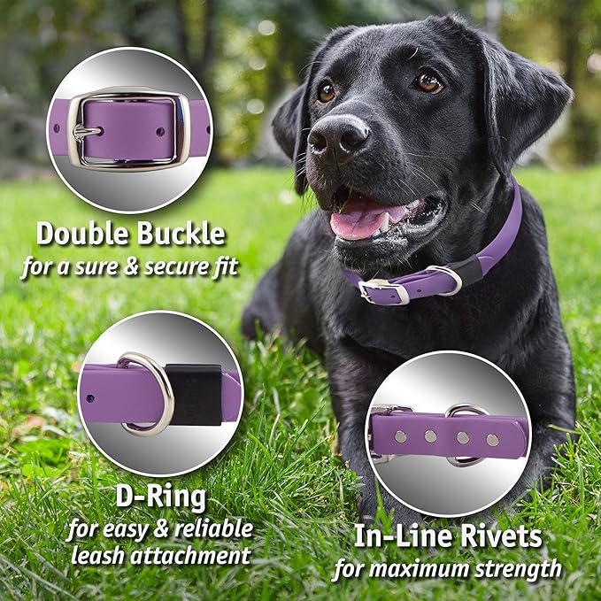 Biothane Custom Dog Collar – Waterproof, Stink-Proof Personalized Collar with Name & Phone Number – Durable, Many Sizes and Colors – Assembled in USA (Cherry Red)