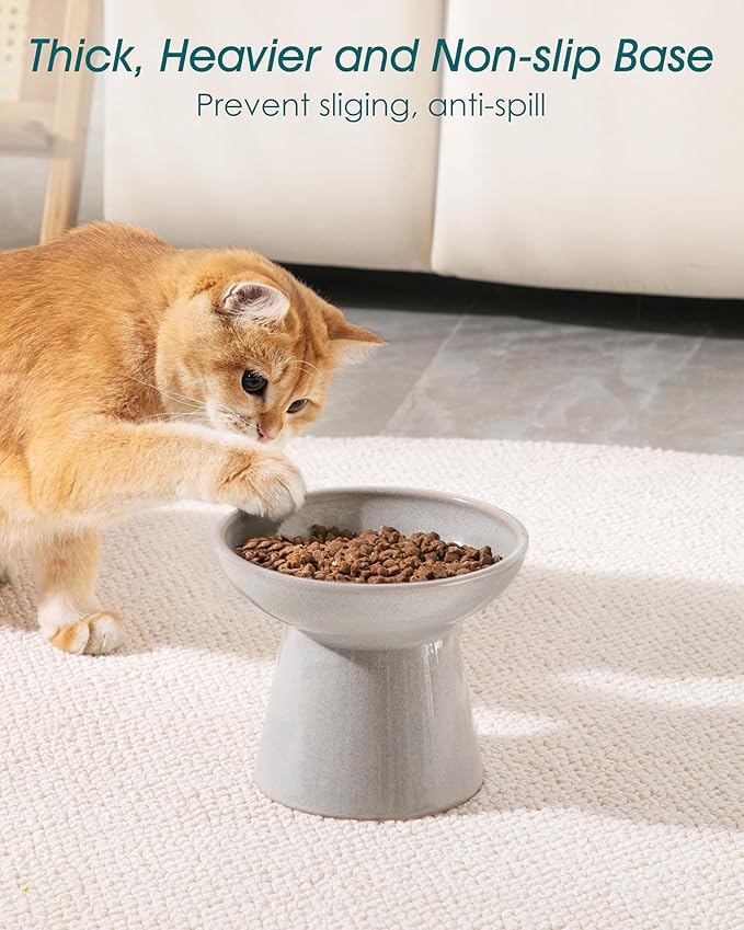 vancasso Ceramic Elevated Cat Bowls 2-Pack - 6.2" Extra Wide Raised Cat Food & Water Dishes, 5.1" Optimal Height Anti-Whisker Fatigue Shallow Bowls for Cats/Kittens/Dogs, Lead & Cadmium Free (Grey)