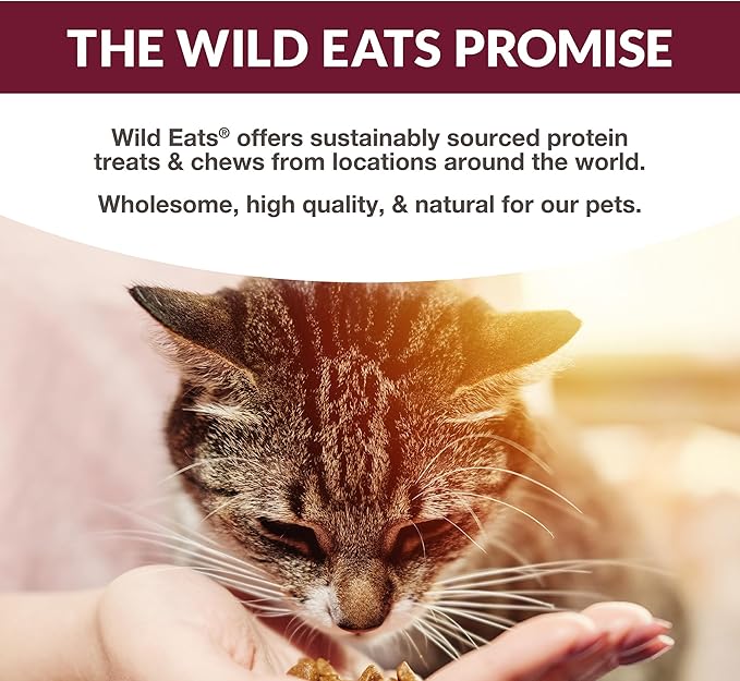 Simply Puree Ahi Tuna Tub for Cats | 48 Individual Servings of High-Protein, All-Natural Grain-Free Cat Treats | Easy-to-Serve, Delicious Puree Perfect for Snacking or Rewarding Your Cat