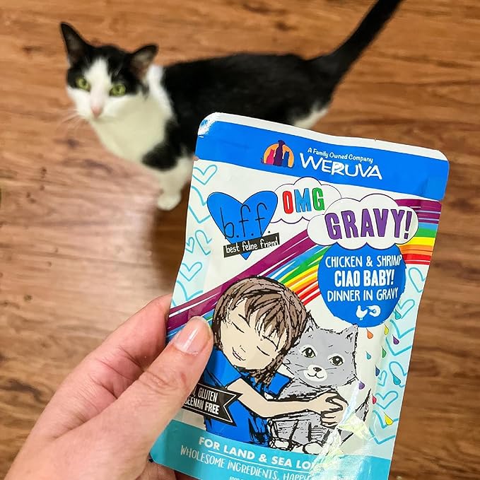 Weruva B.F.F. OMG - Best Feline Friend Oh My Gravy!, Purr-FECT Plannin'! with Chicken, Turkey & Salmon in Gravy Cat Food, 2.8oz Pouch (Pack of 12)
