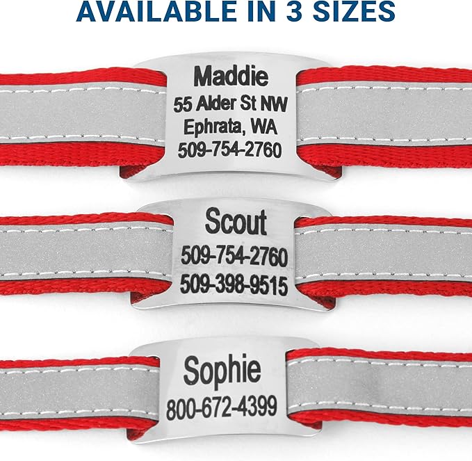 GoTags Reflective Personalized Dog Collar with Nameplate, Adjustable Dog Collar with Custom Engraved Steel Slide On Pet ID Tag, Silent, No Noise Dog Tag for Large Medium or Small (Red, Medium)