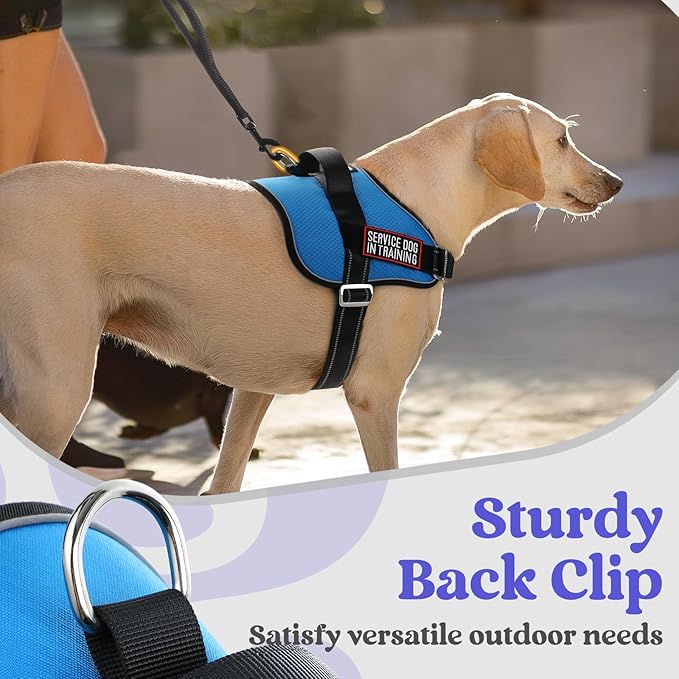 rabbitgoo Dog Harness Medium Sized, Easy On Pet Vest with One Buckle, No Pull Adjustable Service Harness with D-Ring & Handle, Reflective for Safety Walking, Training, Blue, M