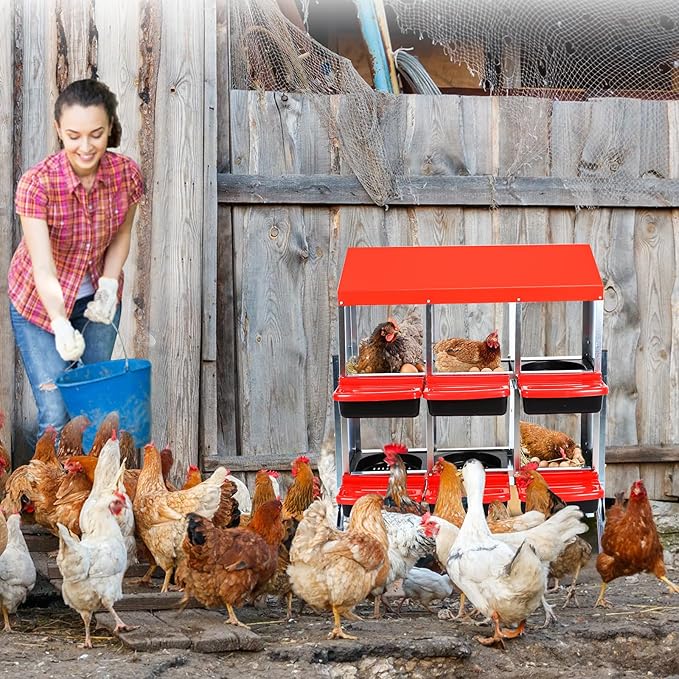 Chicken Nesting Box, 6 Hole 2 Layer Hen Nest Boxes with Legs, Roll Away Eggs Laying Boxes,Cleanable Pull Out Hen Roosting Boxes