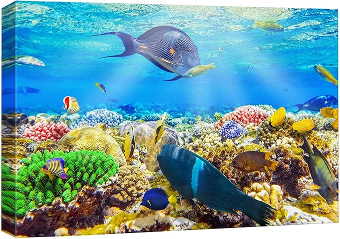 wall26 Canvas Print Wall Art Sunlight Ocean Sea Coral Reef Anemone Fish Nature Animals Photography Realism Rustic Scenic Landscape Wilderness Earth for Living Room, Bedroom, Office - 16"x24"