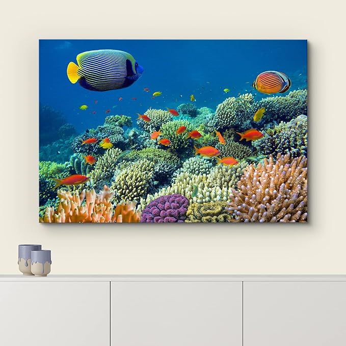 wall26 Canvas Print Wall Art Tropical Underwater Sea Coral Reef Fish Nature Animals Photography Realism Rustic Scenic Landscape Wilderness Earth Colorful for Living Room, Bedroom, Office - 16"x24"