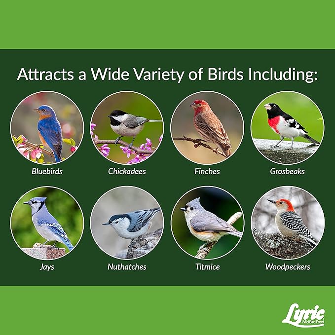 Lyric Fine Tunes No Waste Bird Seed 5 lb. Bag and Lyric Finch Small Songbird Wild Bird Food 5 lb. Bag for Outdoor Bird Feeders