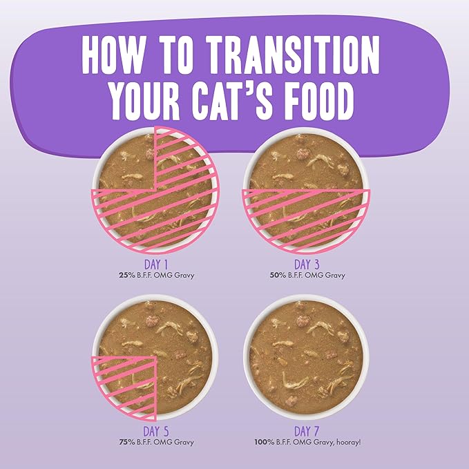 Weruva B.F.F. OMG - Best Feline Friend Oh My Gravy!, Chicken & Duck Dream Team with Chicken & Duck in Gravy, 5.5oz Can (Pack of 8)