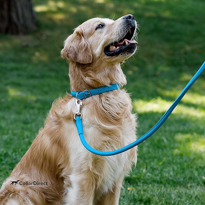 CollarDirect Rolled Leather Dog Collar, Soft Padded Round Puppy Collar, Handmade Genuine Leather Collar Dog Small Large Cat Collars 13 Colors (11-14 Inch, Light Blue Textured)