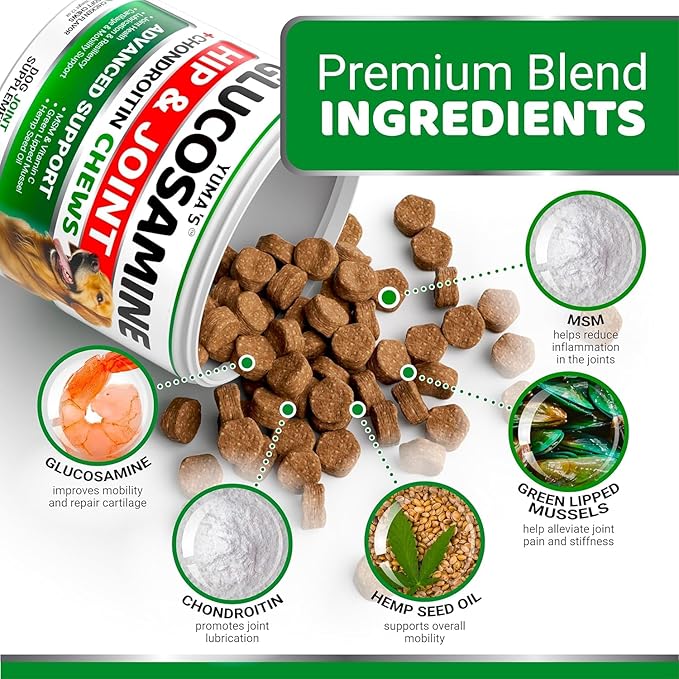 YUMA'S (2 Pack) Glucosamine for Dogs - Hip and Joint Supplement for Dogs - Glucosamine Chondroitin Chews - Joint Pain Relief Supplement with MSM - Advanced Health - Mobility Support - Made in USA