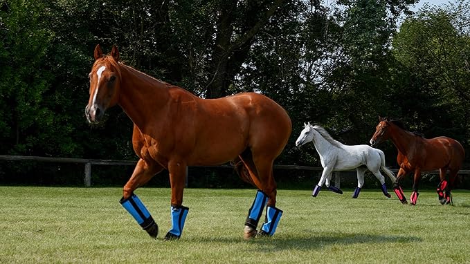 Warrior Fly Boots for Horses - Breathable Mesh Horse Boots for Fly Protection & Leg Comfort - Set of 4 (The Warrior, Purple)