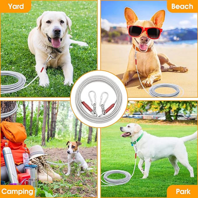 Dog Tie Out Cable for Dogs Outside Up to 250lbs,10/20/30/50/100FT Long Dog Leash&Chains,Small-Large Dogs Runner Cable for Yard,Heavy Duty Lead Line for Outdoor,Camping,Yard (250lbs 100FT, Silver)