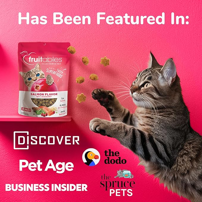 Fruitables Cat Treats Crunchy Cat Treats Packed with Protein Healthy Low Calorie Free of Wheat, Corn and Soy Made with Real Chicken and Blueberry 30 Ounces