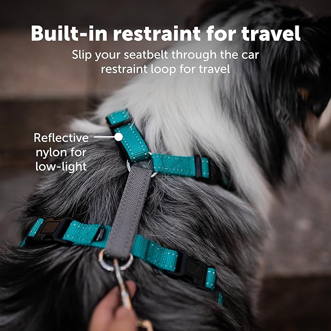 PetSafe 3 in 1 Dog Harness - No Pull Solution for Dogs - Reflective Dog Harness - Front D-Ring Clip Helps Stop Pulling - Comfortable Padded Straps - Top Handle Enhances Control - Black - Large
