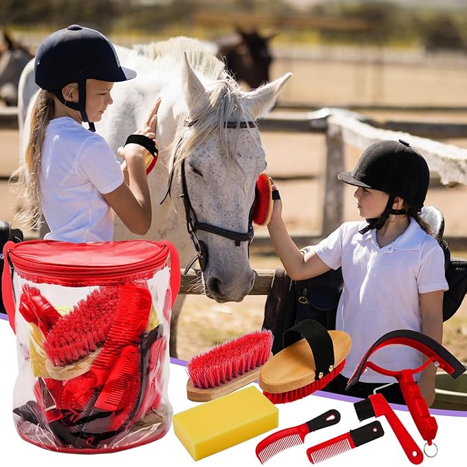 9 Pieces Horse Grooming Kit Tack Room Supplies Set with Organizer Tote Bag, Oval Massage Curry, Hard and Soft Brush, Hoof Pick, Sweat Scraper, Bathing Sponge, Combs for Horse Riders Beginners (Red)
