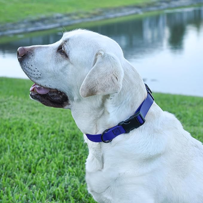 Dogline Biothane Waterproof Dog Collar with Quick Release Buckle Strong Coated Nylon Webbing with Odor- Proof for Easy Care Easy to Clean Fits Small Medium Large Dogs, Royal Blue 5/8" W 9-14" L