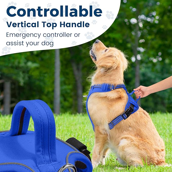 Funfox Dog Harness No Pull, Adjustable Pet Vest Harness, Super Soft Material with Vertical Handle Easy Control, Reflective Night Walking, 2 Leash Clips for XLarge Dogs, Blue, XL