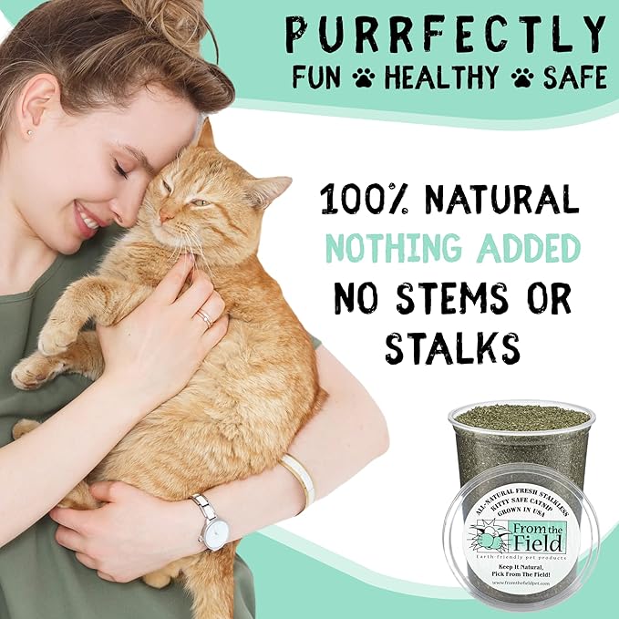 from The Field | Fine Ground Stalkless Catnip | Premium USA-Grown Catnip for Toys & Playtime | Fresh, Potent, Non-Toxic, Eco-Friendly | Safe for Kittens & Cats | Resealable 2 Oz Tub