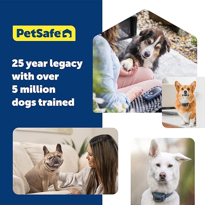 PetSafe Core Remote Trainer Add-A-Dog Collar – Extra Collar for Dog Training Collar with Remote – Waterproof – Tone, Vibration and 15 Levels of Static – Built-in LED Light