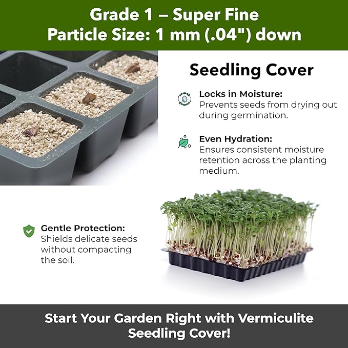 Organic Superfine Vermiculite for Indoor Gardening Plants and Mushrooms – Enhances Soil Aeration, Seed Germination, Rooting Cuttings – Small Packages and Bulk (Vermiculite Grade 1 - Superfine, 1 qt)