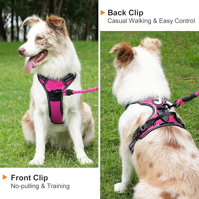 Taglory Light Up Dog Harness, Rechargeable No Pull Dog Vest with 3 Lightning Modes, Reflective Dog Harness with 2 Leash Clips & 4 Adjustable Slide Strips for Large Dogs, Hotpink-Hotpink, XL