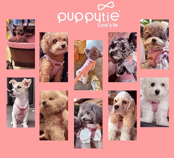 Puppytie No Pull XXS Puppy Harness with Multifunction Dog Leash,Soft Adjustable No Choke Escape Proof Pet Harness Vest,Pink,XXS