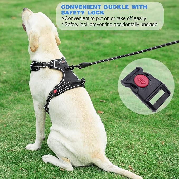 No Pull Dog Harness Adjustable Reflective Oxford Easy Control Medium Large Dog Harness with A Free Heavy Duty 5ft Dog Leash (S (Neck: 13"-18", Chest: 17.5"-22"), Purple Harness+Leash)